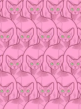 Sphynx cat pattern seamless. Pet background. Home animal texture. vector orna Stock Illustration