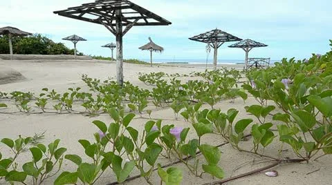 SPIAGGIA 6 Video stock 12466073