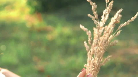 Spica touch hand Stock-Footage 94008220