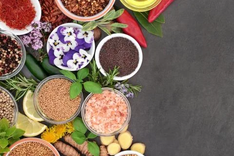 Spice and Herb Border Stock Photos