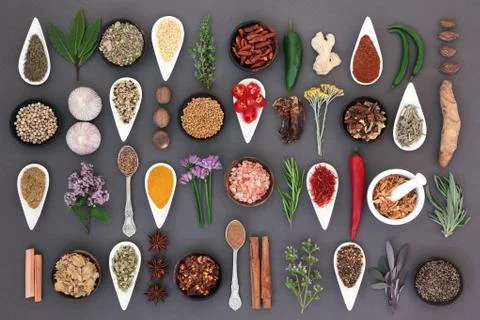 Spice and Herb Sampler Stock Photos