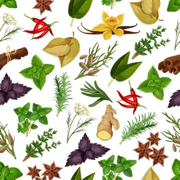 Spice and herb seamless pattern background Illustrazione stock