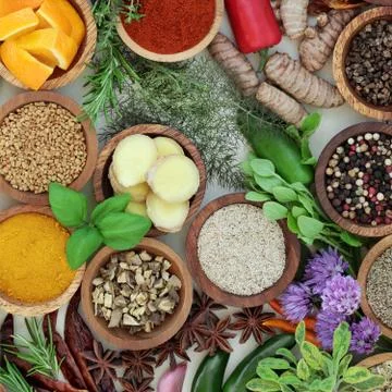 Spice and Herb Selection Stock Photos