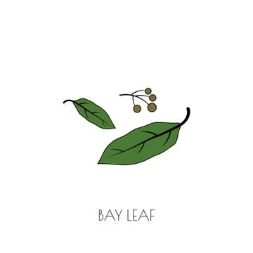 Spice bay leaf icon Stock Illustration