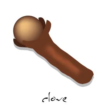 Spice: clove Stock Illustration