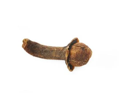 Spice cloves Stock Photos