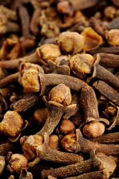 Spice cloves Stock Photos