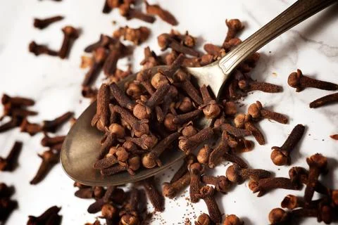 Spice cloves view 库存照片