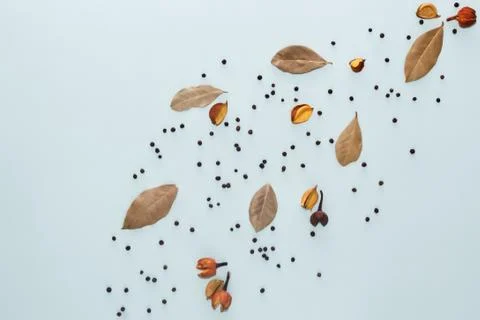 Spice composition. Bay leaf and pepper decorations on blue background. Flat l Stock Photos