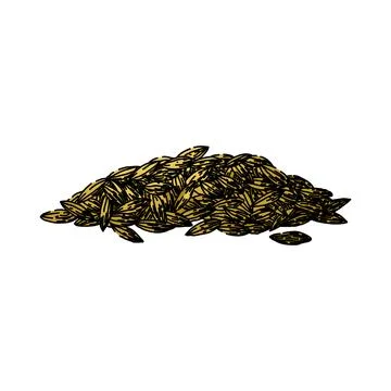 Spice cumin sketch hand drawn vector Illustrazione stock