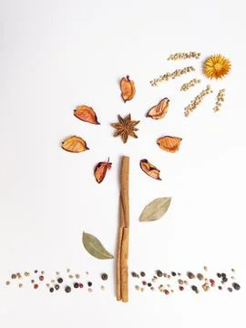 Spice Flower Composition on White Background Stock Photos