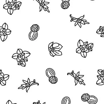 Spice food herb leaf vector seamless pattern Stock Illustration