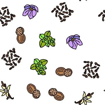Spice food herb leaf vector seamless pattern 스톡 일러스트