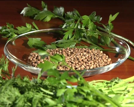 Spice Stock Footage 710256