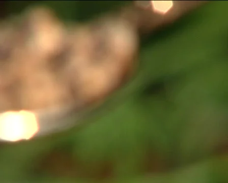 Spice Stock Footage 710269