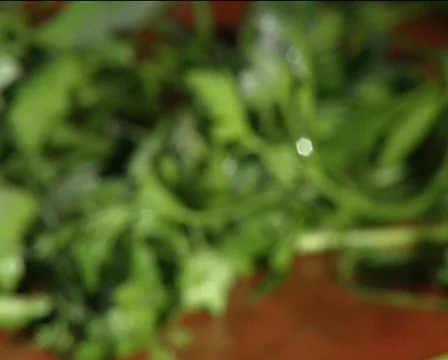 Spice 스톡 동영상 710277