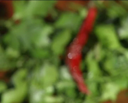 Spice Stock Footage 710281