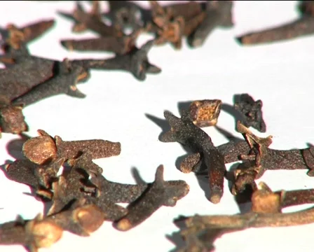 Spice Stock Footage 710292