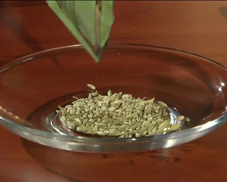 Spice Stock Footage 710294