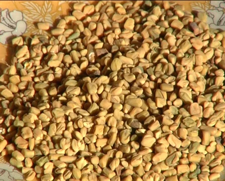 Spice Stock Footage 710315