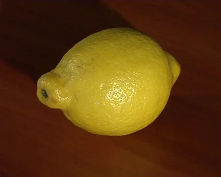 Spice Stock Footage 710323