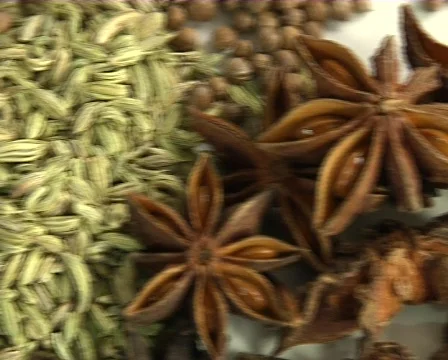 Spice Stock Footage 710324