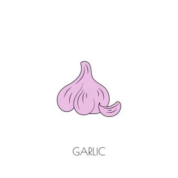 Spice garlic icon Stock Illustration