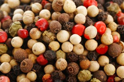 Spice herb and pepper Stock Photos