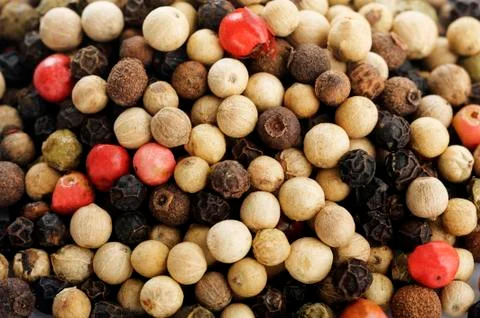 Spice herb and pepper Stock Photos