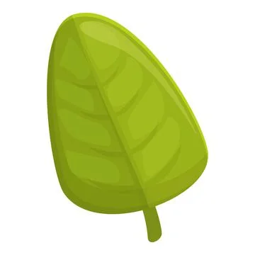 Spice leaf icon cartoon vector. Herb plant Stock Illustration