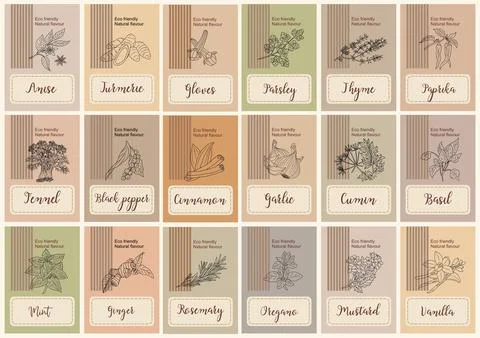Spice packaging design hand drawn botanical herbs. Stock Illustration