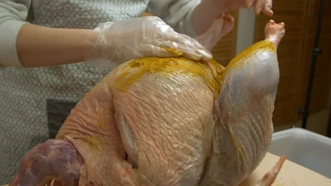A Spice Raw Turkey Meat Stock Footage 100546425