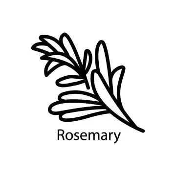 Spice rosemary, linear icon. Editable stroke Stock Illustration