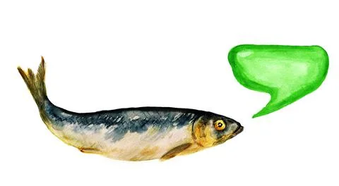 Spice-salted herring Stock Illustration