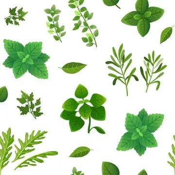 Spice seamless pattern. Food herbs and spices oregano green basil mint spinach Stock Illustration