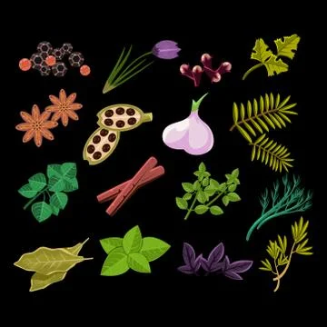 Spice Set. Vector Illustration Stock Illustration