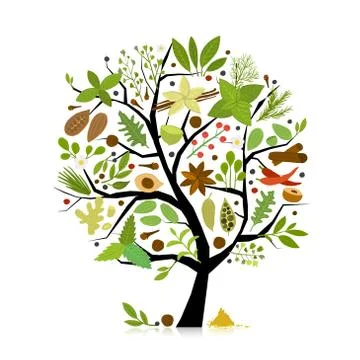 Spice shop, concept image, herbs and spices collection on tree for your design Stock Illustration