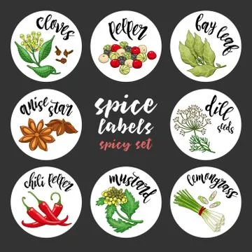 Spices and herbs labels. Colored vector spicy set Stock Illustration