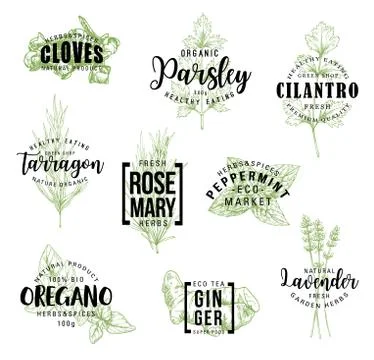 Spices and herbs lettering labels Stock Illustration