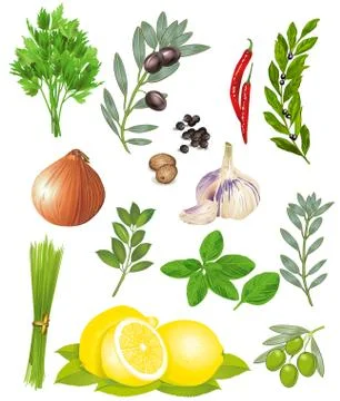 Spices and herbs - vector illustration Stock Illustration
