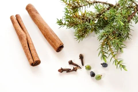 Spices and juniper Stock Photos