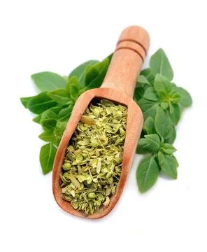 Spices basil close up. Foto stock