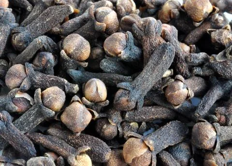 Spices - cloves Stock Photos
