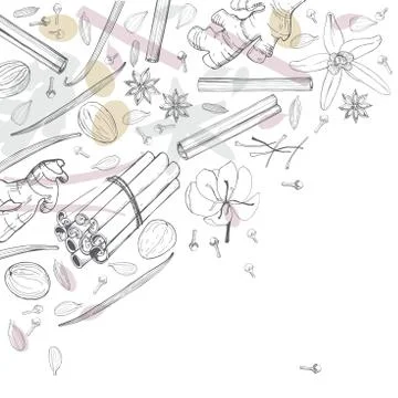 Spices for dessert, and baking.Vector background. Stock Illustration