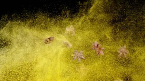 Spices explosion on black background Vidéo 130902452