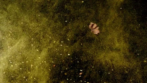 Spices explosion Stock Footage 130902473