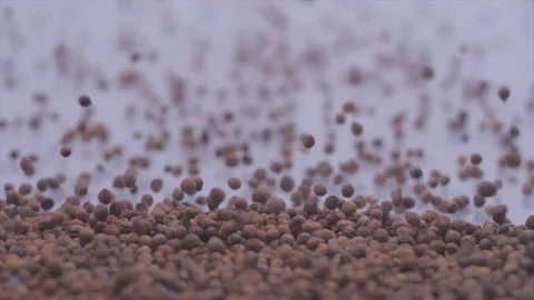 Spices fall down, closeup spices Video stock 143120831