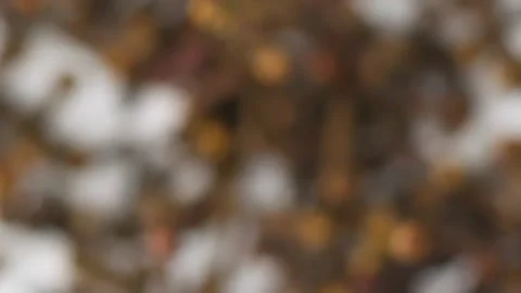 Spices flying up on the white background in slow motion Video stock 148554298
