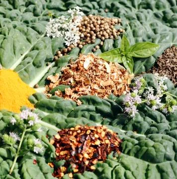 Spices heaps Stock Photos