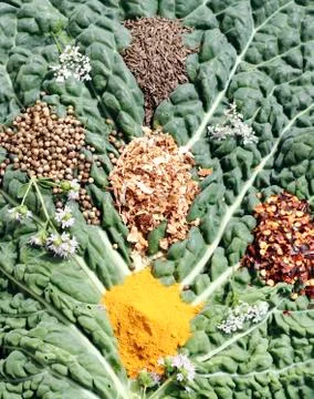 Spices heaps Stock Photos